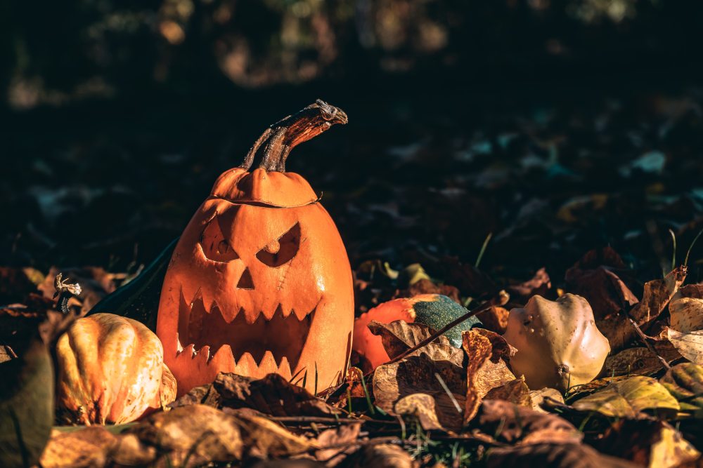 how to get ready for halloween in australia